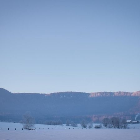 Vila Siedem Lanow Radkow Exteriér fotografie