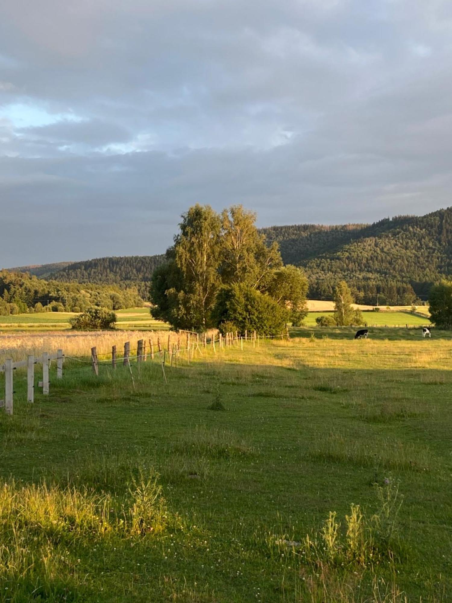 Vila Siedem Lanow Radkow Exteriér fotografie