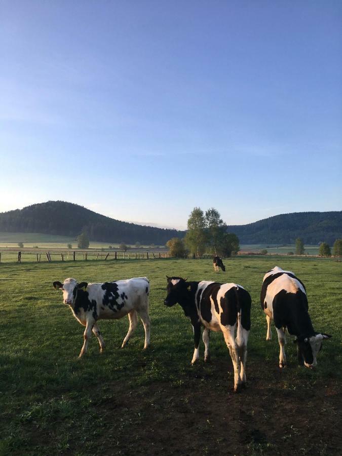 Vila Siedem Lanow Radkow Exteriér fotografie