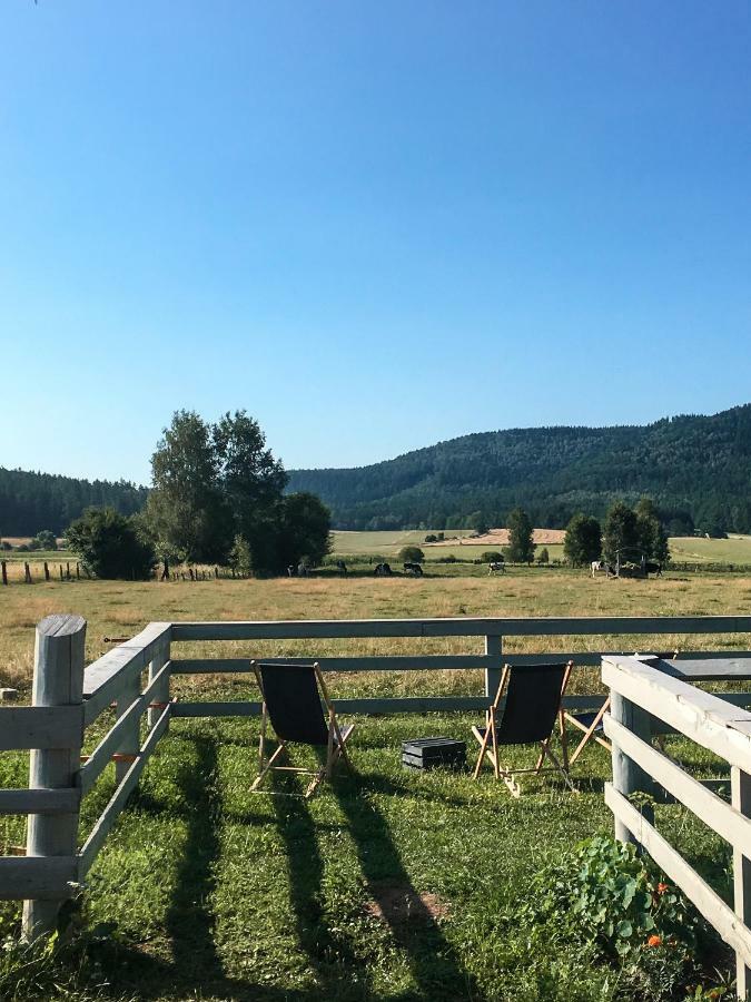 Vila Siedem Lanow Radkow Exteriér fotografie